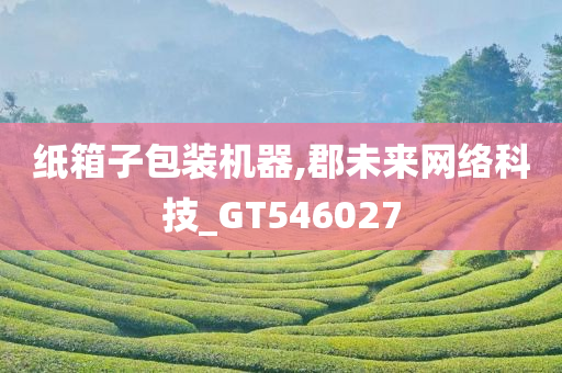 纸箱子包装机器,郡未来网络科技_GT546027