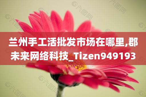 兰州手工活批发市场在哪里,郡未来网络科技_Tizen949193