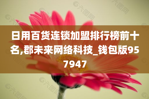 日用百货连锁加盟排行榜前十名,郡未来网络科技_钱包版957947