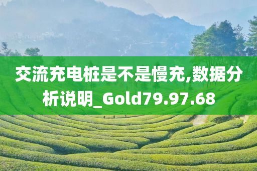 交流充电桩是不是慢充,数据分析说明_Gold79.97.68