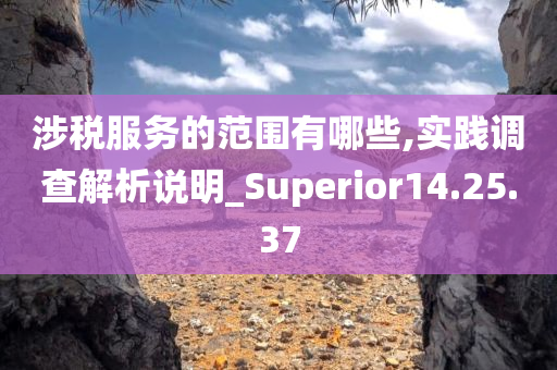 涉税服务的范围有哪些,实践调查解析说明_Superior14.25.37