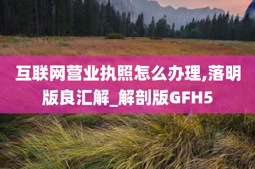 互联网营业执照怎么办理,落明版良汇解_解剖版GFH5