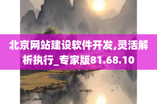 北京网站建设软件开发,灵活解析执行_专家版81.68.10