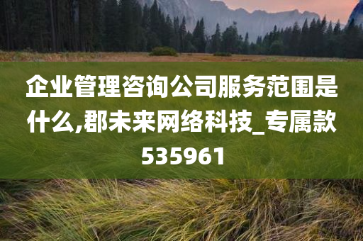 企业管理咨询公司服务范围是什么,郡未来网络科技_专属款535961