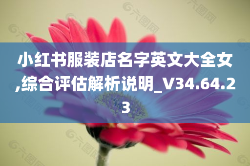 小红书服装店名字英文大全女,综合评估解析说明_V34.64.23