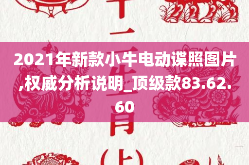 2021年新款小牛电动谍照图片,权威分析说明_顶级款83.62.60