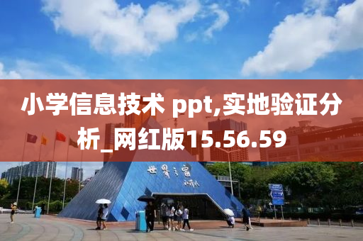 小学信息技术 ppt,实地验证分析_网红版15.56.59