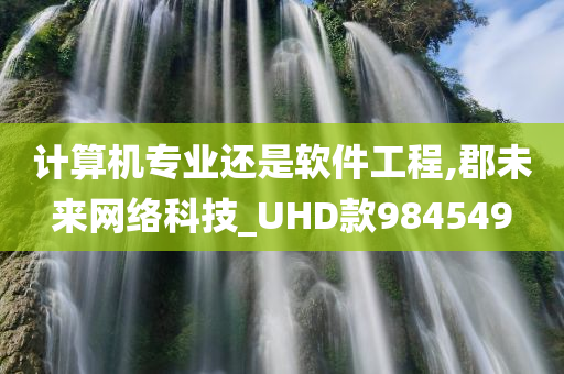 计算机专业还是软件工程,郡未来网络科技_UHD款984549