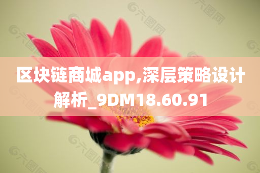 区块链商城app,深层策略设计解析_9DM18.60.91