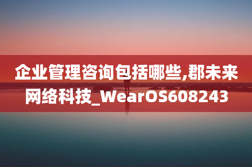 企业管理咨询包括哪些,郡未来网络科技_WearOS608243