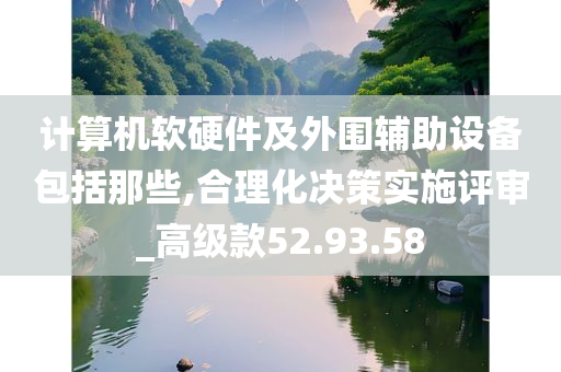 计算机软硬件及外围辅助设备包括那些,合理化决策实施评审_高级款52.93.58