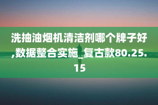 洗抽油烟机清洁剂哪个牌子好,数据整合实施_复古款80.25.15