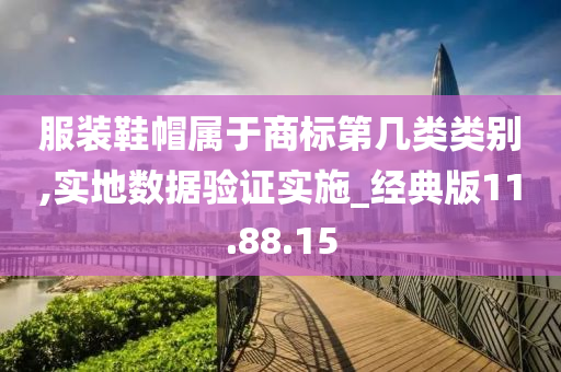 服装鞋帽属于商标第几类类别,实地数据验证实施_经典版11.88.15