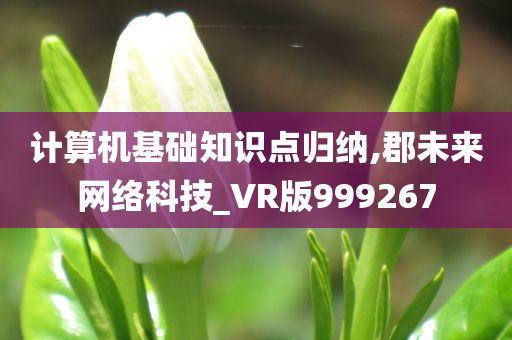 计算机基础知识点归纳,郡未来网络科技_VR版999267