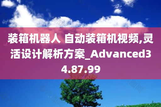 装箱机器人 自动装箱机视频,灵活设计解析方案_Advanced34.87.99