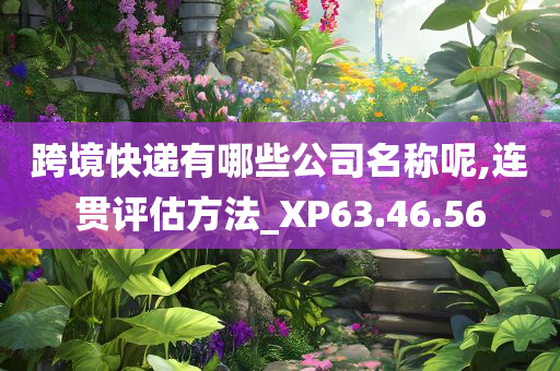 跨境快递有哪些公司名称呢,连贯评估方法_XP63.46.56