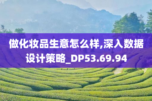 做化妆品生意怎么样,深入数据设计策略_DP53.69.94