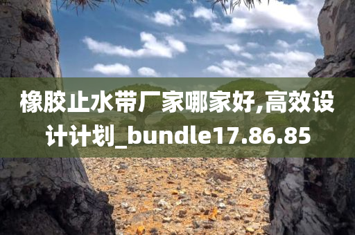 橡胶止水带厂家哪家好,高效设计计划_bundle17.86.85