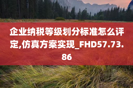 企业纳税等级划分标准怎么评定,仿真方案实现_FHD57.73.86