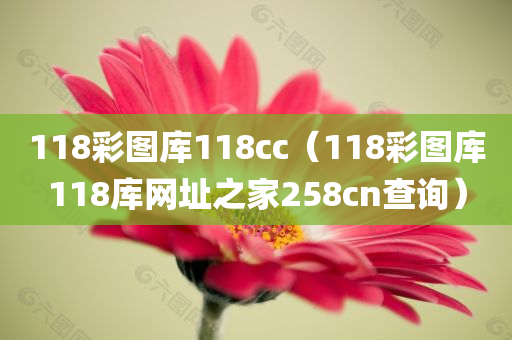 118彩图库118cc（118彩图库118库网址之家258cn查询）