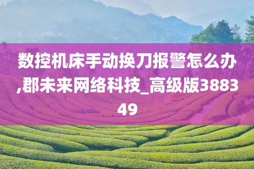 数控机床手动换刀报警怎么办,郡未来网络科技_高级版388349