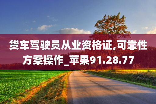 货车驾驶员从业资格证,可靠性方案操作_苹果91.28.77