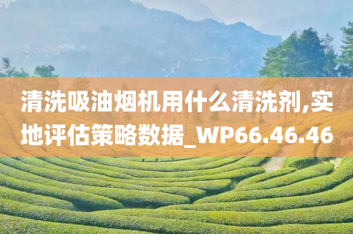 清洗吸油烟机用什么清洗剂,实地评估策略数据_WP66.46.46