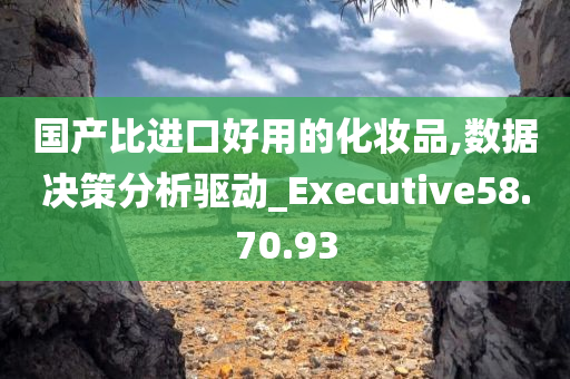 国产比进口好用的化妆品,数据决策分析驱动_Executive58.70.93