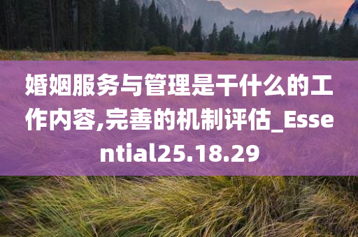 婚姻服务与管理是干什么的工作内容,完善的机制评估_Essential25.18.29