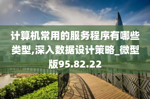 计算机常用的服务程序有哪些类型,深入数据设计策略_微型版95.82.22