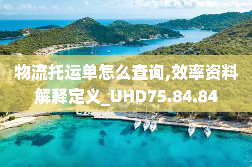 物流托运单怎么查询,效率资料解释定义_UHD75.84.84