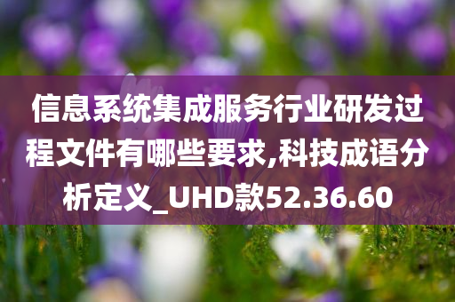 信息系统集成服务行业研发过程文件有哪些要求,科技成语分析定义_UHD款52.36.60