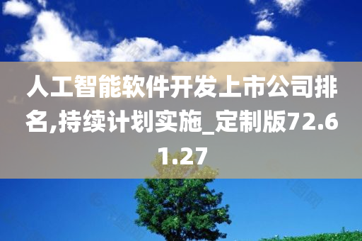 人工智能软件开发上市公司排名,持续计划实施_定制版72.61.27