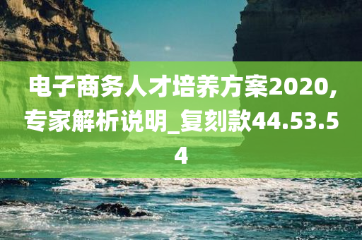 电子商务人才培养方案2020,专家解析说明_复刻款44.53.54