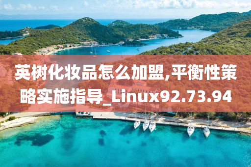 英树化妆品怎么加盟,平衡性策略实施指导_Linux92.73.94