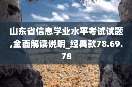 山东省信息学业水平考试试题,全面解读说明_经典款78.69.78