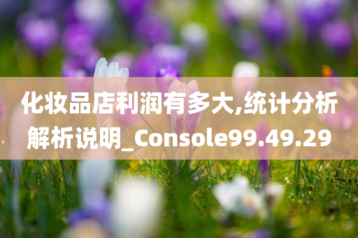 化妆品店利润有多大,统计分析解析说明_Console99.49.29