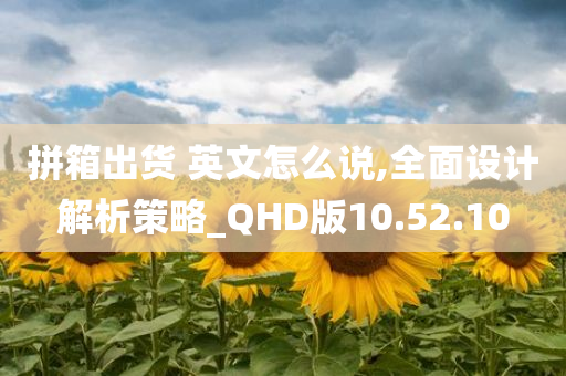 拼箱出货 英文怎么说,全面设计解析策略_QHD版10.52.10