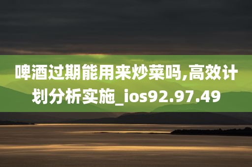 啤酒过期能用来炒菜吗,高效计划分析实施_ios92.97.49