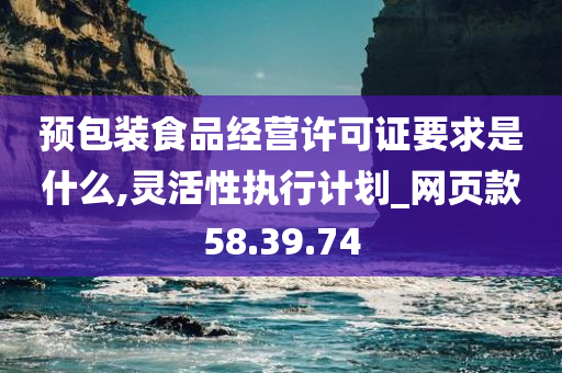 预包装食品经营许可证要求是什么,灵活性执行计划_网页款58.39.74