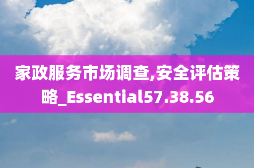 家政服务市场调查,安全评估策略_Essential57.38.56