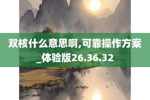 双核什么意思啊,可靠操作方案_体验版26.36.32