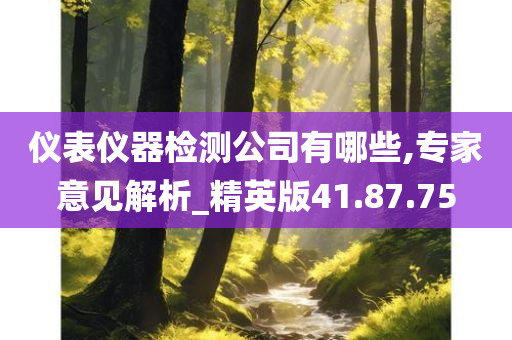 仪表仪器检测公司有哪些,专家意见解析_精英版41.87.75