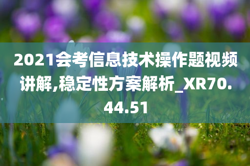 2021会考信息技术操作题视频讲解,稳定性方案解析_XR70.44.51