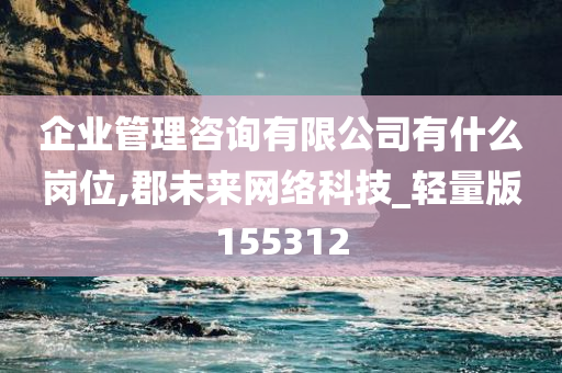 企业管理咨询有限公司有什么岗位,郡未来网络科技_轻量版155312