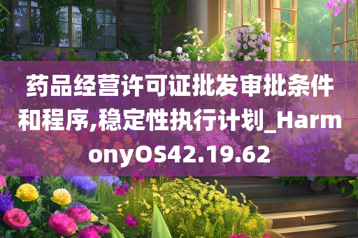 药品经营许可证批发审批条件和程序,稳定性执行计划_HarmonyOS42.19.62