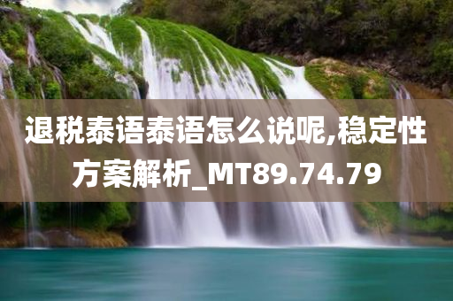 退税泰语泰语怎么说呢,稳定性方案解析_MT89.74.79