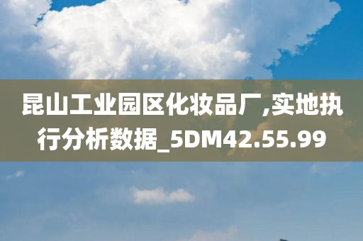 昆山工业园区化妆品厂,实地执行分析数据_5DM42.55.99