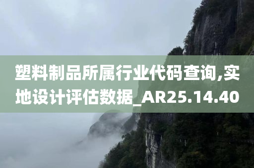 塑料制品所属行业代码查询,实地设计评估数据_AR25.14.40