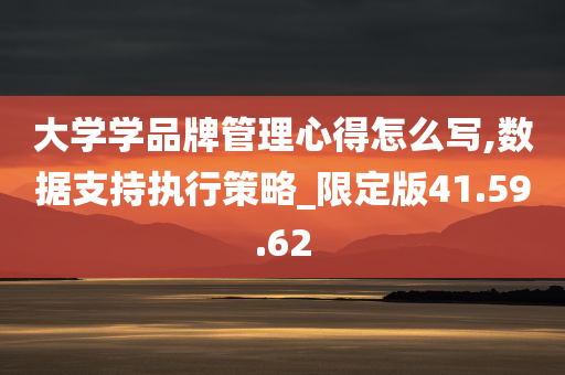 大学学品牌管理心得怎么写,数据支持执行策略_限定版41.59.62